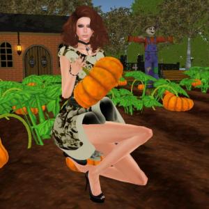 pumpkinpatch_005